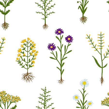 Herbarium flowers with roots, seamless patternのイラスト素材