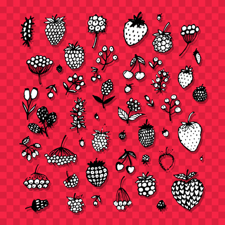 Berries collection, sketch for your design. Vector illustrationのイラスト素材