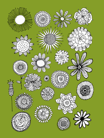 Flowers collection, sketch for your design. Vector illustrationのイラスト素材