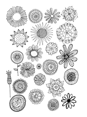 Flowers collection, sketch for your design. Vector illustrationのイラスト素材