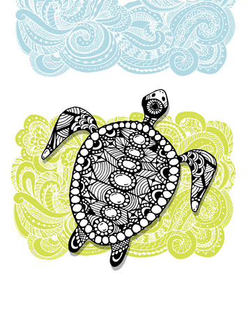 Tortoise ornateのイラスト素材