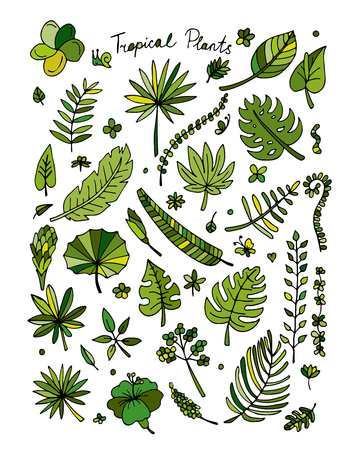 Tropical plants, sketch for your designのイラスト素材