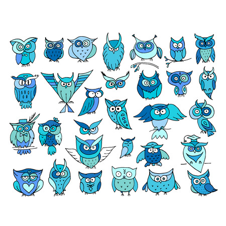 Set of funny owl collection for your design. Vector illustrationのイラスト素材