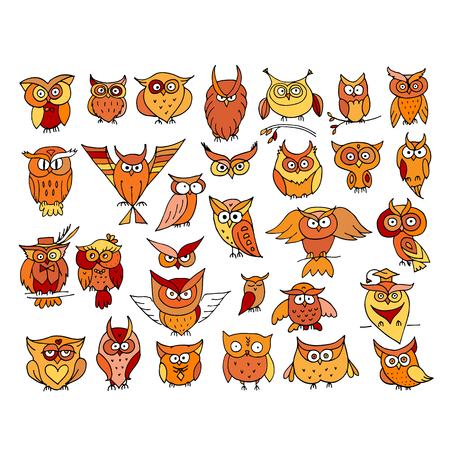 Set of funny owl collection for your design. Vector illustrationのイラスト素材