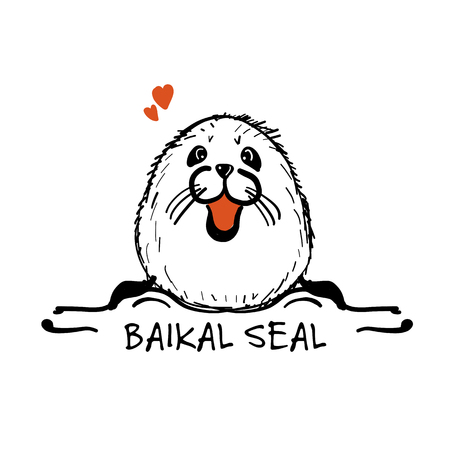Baikal seal, sketch for your designのイラスト素材