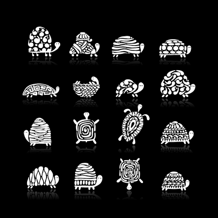 Turtle  set for your designの写真素材