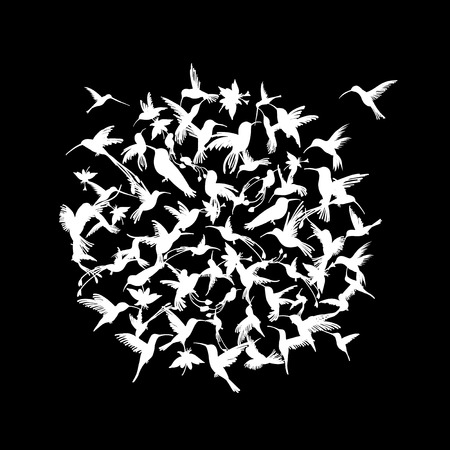 Colibri collection, sketch for your designのイラスト素材