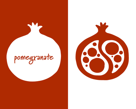 Pomegranate, sketch for your designのイラスト素材