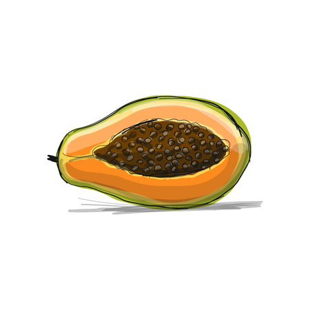 Papaya, sketch for your design. Vector illustrationのイラスト素材