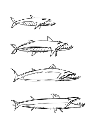 Barracuda fish for your designのイラスト素材