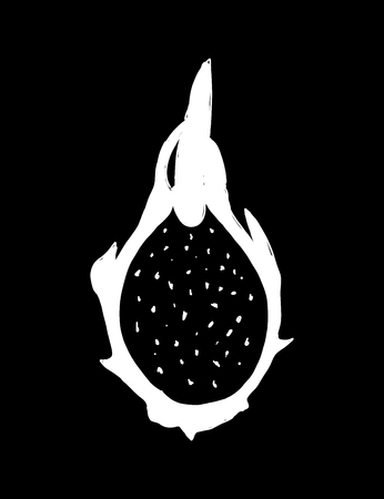 Dragonfruit, sketch for your design. Vector illustrationのイラスト素材