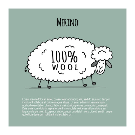 Merino sheep, sketch for your designのイラスト素材