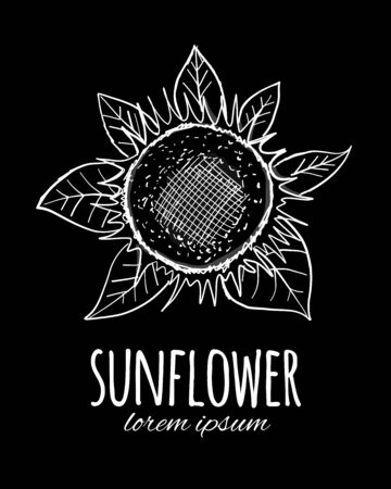 Sunflower, sketch for your designのイラスト素材