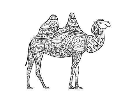 Hand drawn camel, ornament for adult anti stress Coloring bookのイラスト素材