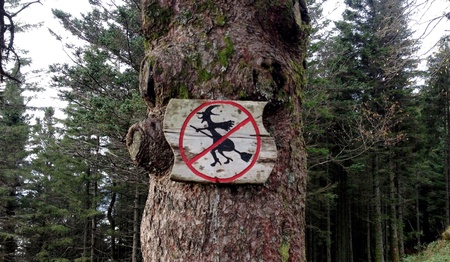 No witches in the forest