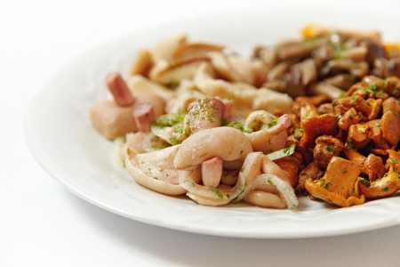 Salad of different kinds of mushrooms, close up isolated on whiteの写真素材