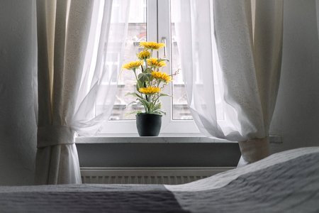 Sunflower on the windowsill in apartment. の写真素材