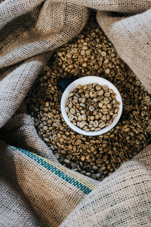 Green coffee grain in a burlap sack. A cup of green grain. Coffee roasting conceptの写真素材