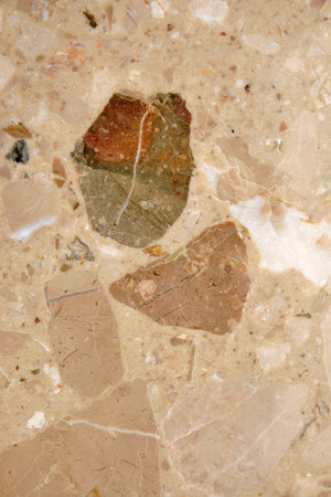 Brown marble stone seamless background pattern or texture. Natural stone textureの写真素材