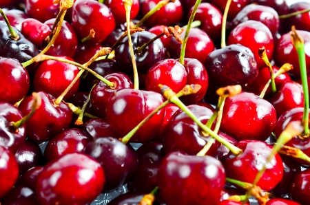 berry cherry on a white backgroundの写真素材