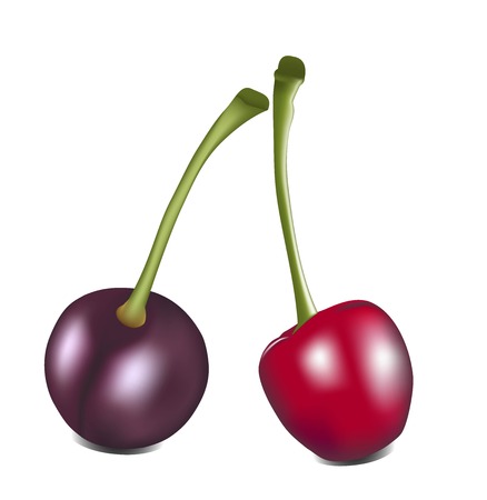 cherryのイラスト素材