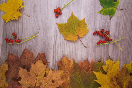 Autumn maple leaves on wooden backgroundの写真素材