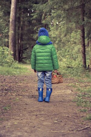 Boy in the autumn forest with a basket of berries and applesの写真素材