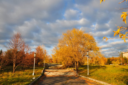Sunset in autumn park. Autumn landscape russiaの写真素材