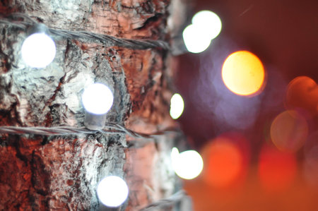 Blured Festive Christmas background of defocused decorated xmasの写真素材