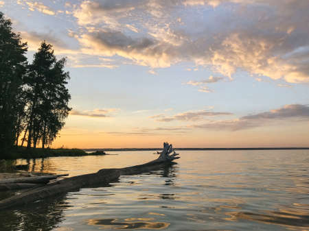 Sea panorama on a summer evening at sunset with a cloudy skyの写真素材