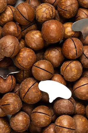 Fresh golden macadamia nuts close up in bulk top view for backgroundの写真素材