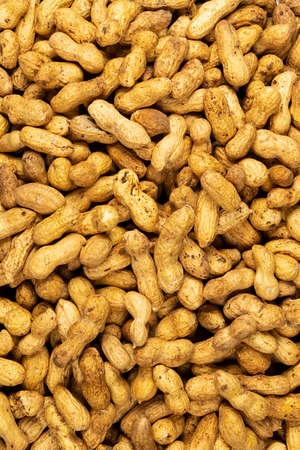 Peeled fresh golden peanuts nuts close up in bulk top view for backgroundの写真素材