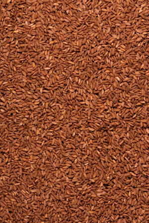 Cereals from grains for proper nutrition close-up top view backgroundの写真素材