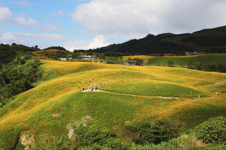 Beautiful scenery of daylily flowers with village and mountains in a sunny day
