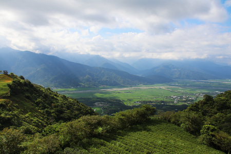 Taiwan Hualien beautiful scenery of daylily flowers with village and mountains in a sunny dayの写真素材