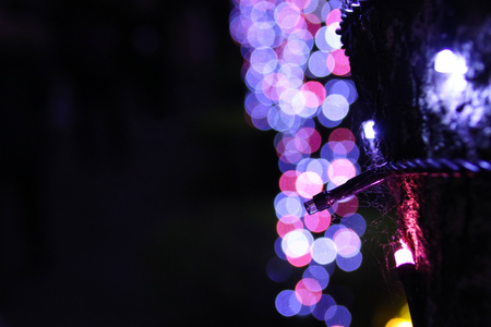 New Taipei City Merry Christmas City