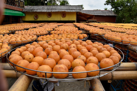 Hsinchu, Taiwan - OCT 10, 2051: Process of Making Dried Persimmon during Windy Autumn in Hsinpuのeditorial素材