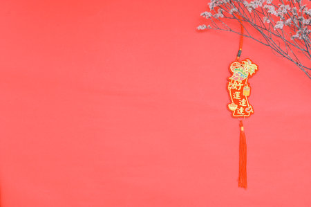Chinese New Year decoration on red background, closeup of photo.の写真素材