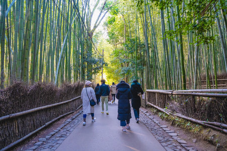 Unidentified people visit Arashiyama bamboo grove in Kyoto, Japan. Arashiyama is a UNESCO World...