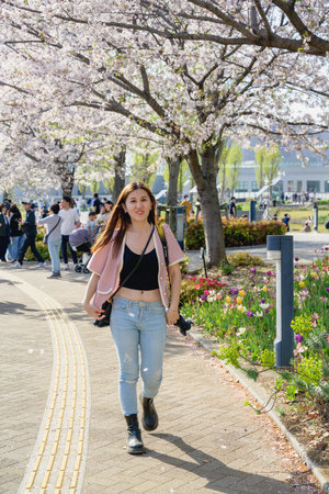 Tokyo, Japan - April 15, 2024: Young girl with cherry blossoms in the garden.の写真素材