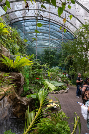 SINGAPORE - OCTOBER 24, 2024: Butterfly Garden inside airport, Singaporeの写真素材