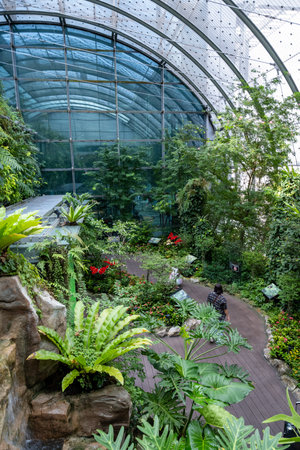SINGAPORE - OCTOBER 24, 2024: Butterfly Garden inside airport, Singaporeの写真素材