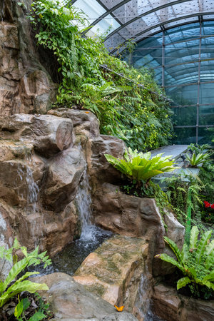 SINGAPORE - OCTOBER 24, 2024: Butterfly Garden inside airport, Singaporeの写真素材