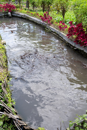 Bali, Indonesia - October 22, 2024: Landscape photo of with black background.の写真素材