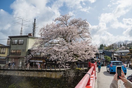 Takayama, Gifu, Japan - APR 17 ,2024: Red Naka-bashi bridge with Cherry blossomss spanning over the Miya-gawa river in Hida-Takayama Gifu Japan.の写真素材