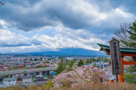 Fujiyoshida, Yamanashi, Japan - APR 17 , 2024: Mount Fuji with cherry blossoms in Arakurayama Sengen Park.の写真素材