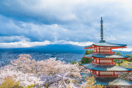 Fujiyoshida, Yamanashi, Japan - APR 17, 2024: Arakura Fuji Sengen Jinja Shrine. Mt Fuji with red pagoda in cherry blossom sakura in spring season .の写真素材