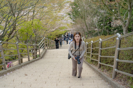 Fujiyoshida, Yamanashi, Japan - APR 17 , 2024: Mount Fuji with cherry blossoms in Arakurayama Sengen Park.の写真素材