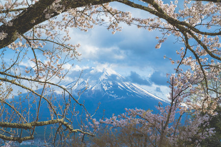 Fujiyoshida, Yamanashi Prefecture, Japan - April 17, 2024: Spring cherry blossoms in bloom and Mount Fuji in the background. Landmarks and popular tourist attractions.の写真素材