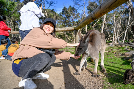 Melbourne VIC, Australia - Jun 01, 2023: Melbourne, Australiaの写真素材